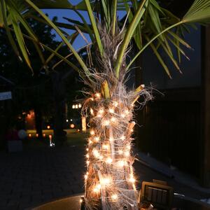 Catena luminosa solare a LED - 200 LED bianco caldo - filo argentato - L: 20m - sensore crepuscolare