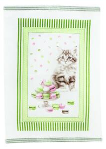 Strofinaccio spugna Gattino 50x70 cm