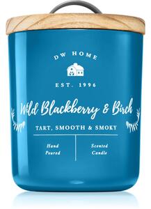 DW Home Farmhouse Wild Blackberry & Birch candela profumata 255 g