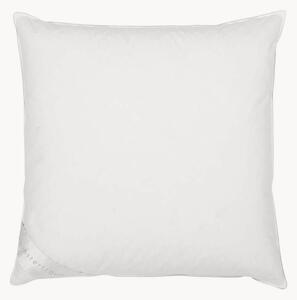 Cuscino in piuma Classic, duro