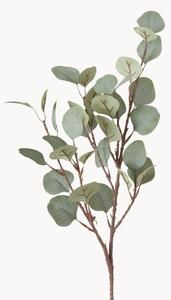 Ramo decorativo Eukalyptus