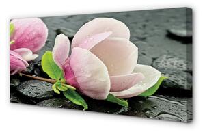 Quadro su tela Pietre magnolia 100x50 cm