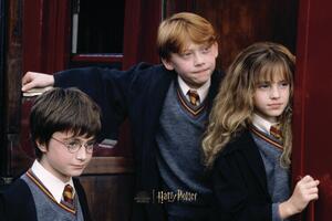 Stampa d'arte Harry Potter - Finally over