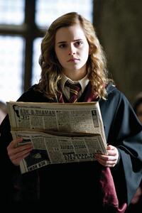 Stampa d'arte Harry Potter - Hermione, (26.7 x 40 cm)