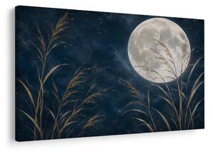 Quadro su tela – Notte lunare tra i canneti dorati