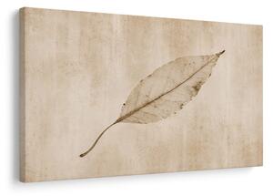 Quadro su tela – Foglia delicata nei toni beige