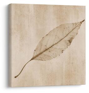 Quadro su tela – Foglia minimalista in stile seppia