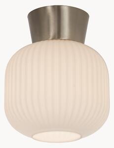 Lampada da soffitto Vanja