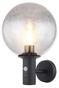 Applique LED, rilevatore di movimento, antracite, vetro fumé, H 37 cm