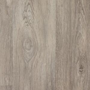 Primaflor PVC TURIN - Grigio rovere 619M - 2,00m x 0,50m - al metro - Pavimento vinilico effetto legno per cucina, soggiorno e bagno, pavimento di alta qualità, superficie antiscivolo
