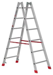 Euroline Premium 305 - Scala a pioli 2x6
