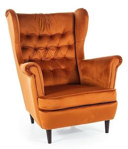 Poltrona Harry Velvet in velluto color cannella – 82x92x101 cm