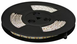 Striscia LED Ecolite, SMD2835, 2400 lm/m, IP20, 25 m, 8 mm DX-120SMD-6000/25M