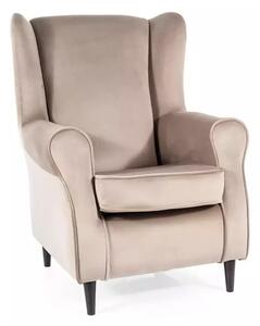 Poltrona Baron in velluto beige scuro Bluvel 40 e struttura in legno colore wenge – 75x80x101 cm