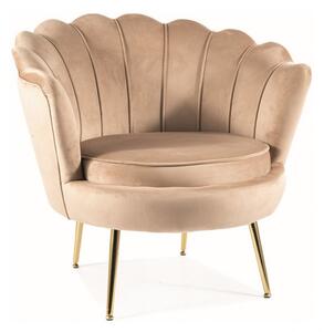 Poltrona Camelia 1 in velluto beige - Blu28/oro