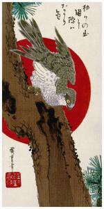 Stampa artistica The Hawk The Red Sun Japan - Utagawa Hiroshige, (20 x 40 cm)
