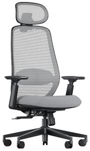 Omgoods: Sedia da ufficio ergonomica con supporto lombare e funzioni regolabili