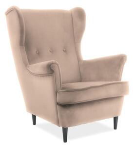 Poltrona Lord in velluto beige - Blu28/wenge