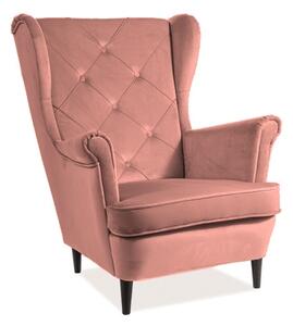 Poltrona Lady in velluto rosa - Blu52/wenge