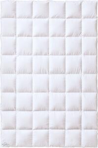 Piumino Kauffmann Bavaria 155x220 cm, media