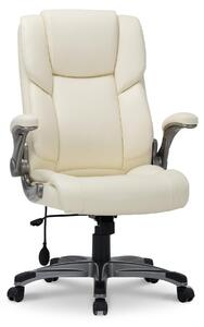 Sedia da ufficio COLAMY – Sedia ergonomica per scrivania con schienale alto, braccioli pieghevoli e funzione di inclinazione regolabile