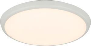 Lampada a soffitto LED, adatta per soggiorno, corridoio, bagno e cucina. Lampada a soffitto rotonda, colore bianco, modello 32109