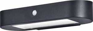 LEDVANCE ENDURA Style Applique solare ovale, luce bianca fredda (4000K), sensore integrato, utilizzabile senza elettricità, lunga durata della batteria: 30 volte 60 secondi in modalità PIR, classe di protezione IP44, nero