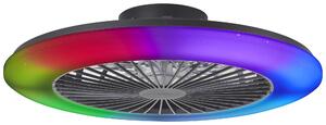 Brilliant G60021/06 Lampada a soffitto LED Salerno, 58 cm, colore nero, materiale: plastica, LED integrati