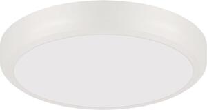 Plafoniera LED D: 17 cm rotonda Luce bianca neutra 4400 K 1450 lm