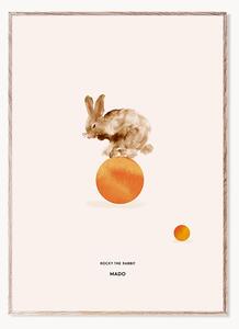 Poster Rocky the Rabbit