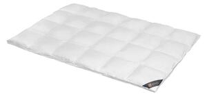 Spessarttraum Piumino Piumino in piuma d'oca Bronzo 200 x 220 cm Extra caldo