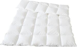 Piumino Traumina Plume in piuma biologica, per tutte le stagioni, leggero, classe termica 3, misura 200x220 cm
