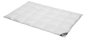 Spessarttraum Piumino Piumino d'oca Argento 155 x 200 cm Caldo