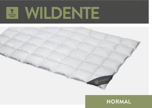 Spessarttraum Piumino Piumino d'oca selvatica 240 x 220 cm Normale