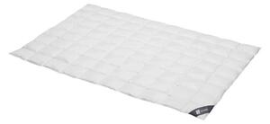 Spessarttraum Piumino Piumino d'oca Argento 155 x 200 cm Extra leggero