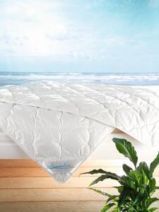 Frankenstolz f.a.n. Copripiumino Summerline Cool Linnen 135 x 200 cm Trapunta leggera