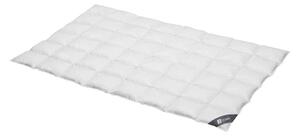 Spessarttraum Piumino per tutte le stagioni SILBER Medium per esigenze di calore ridotte, dimensioni: 240 x 220 cm
