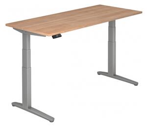 XBHM 19 SS - 180 x 80 in noce, regolabile elettricamente in altezza