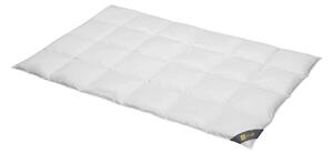 Spessarttraum Piumino Piumino Gold 200 x 220 cm Caldo