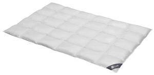 Spessarttraum Piumino per tutte le stagioni SILBER Normale per esigenze termiche ridotte, dimensioni: 155 x 200 cm