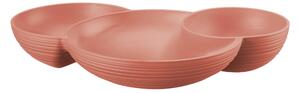 Antipastiera, Tierra 3 scomparti Dimensioni 29,5x21,4xh 5,2 cm Post Consumed Recycled Poliestereastic, Terracotta