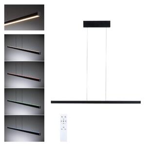 Paulmann Lampada a sospensione LED Lesko con RGBW e Tunable White Black opaco