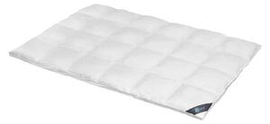 Spessarttraum Piumino-piuma per tutte le stagioni BLUE per un fabbisogno di calore molto elevato, dimensioni: 200 x 220 cm