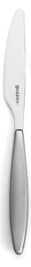 Coltelli da Tavola FEELING set da 6 pezzi in acciaio 18.10 AISI304 22.5 Cm Grigio Cielo lavabili in lavastoviglie
