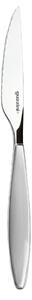 Coltelli da Bistecca FEELING set da 6 pezzi in acciaio 18.10 AISI304 22.5 Cm Grigio Cielo lavabili in lavastoviglie