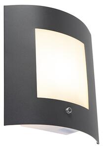 Lampada da esterno antracite IP44, luce chiara/scura, sensore Emmerald 1