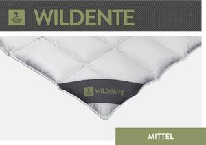 Spessarttraum Piumino Piumino d'oca selvatica 155 x 200 cm Medio