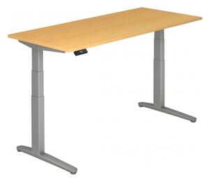 XBHM 19 SS - Faggio 180 x 80, regolabile elettricamente in altezza