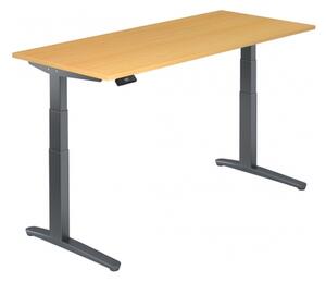 XBHM 19 GG - Faggio 180 x 80, regolabile elettricamente in altezza