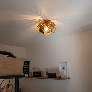 QAZQA - Plafoniera Retro Vintage I Lampada da soffitto I Lampada I Lampada Oro I Ottone 24 cm - Botanica I Soggiorno I Camera da letto - Acciaio Rotondo I Organica - LED adatto E27